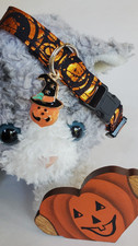 Halloween Sneak Peek - Orange Foil Pumpkins On Black w/Charm Fabric Cat Collar