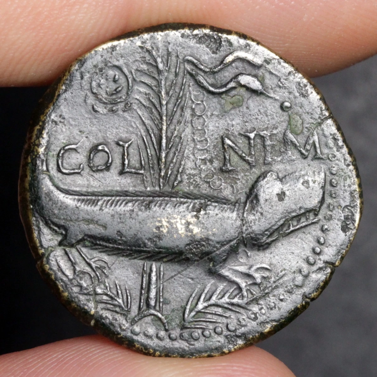 Dupondius Roman Imperial Coins (27 BC-476 AD) for sale | eBay