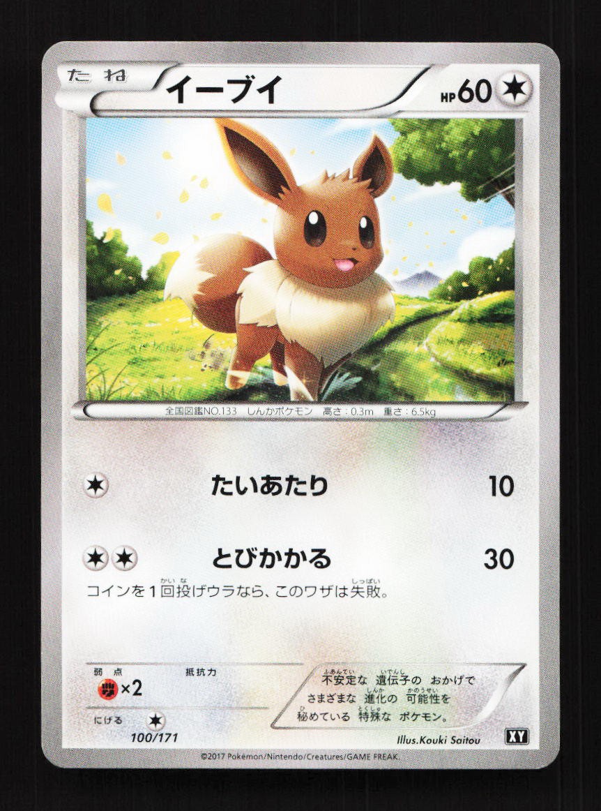 Eevee 100/171 XY The Best of XY Japanese Pokemon Card TCG