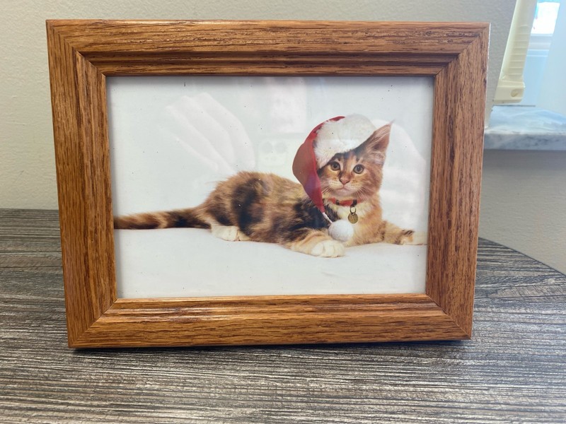 Cute Holiday Decor! Framed Christmas Cat in Santa Hat Photo