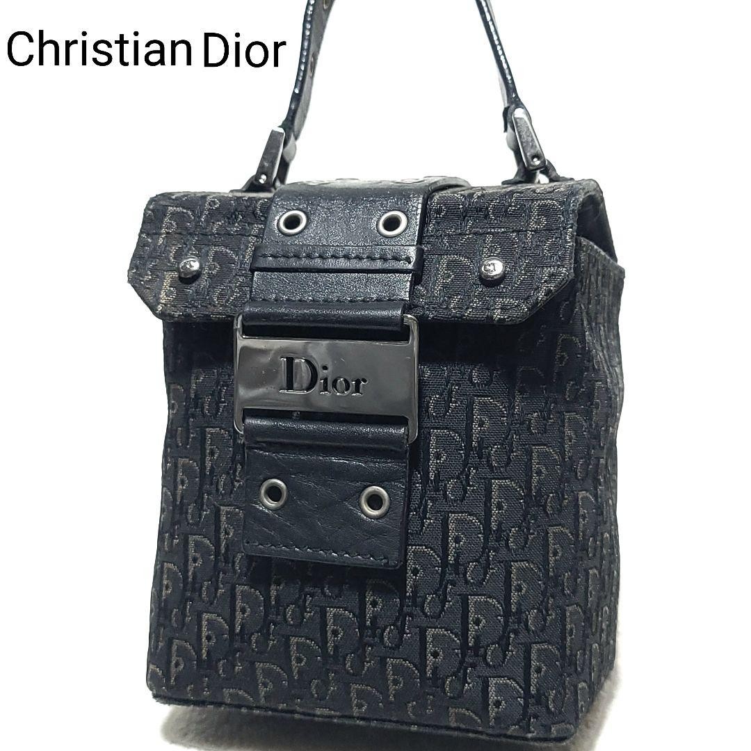 Dior Trotter Leather Vanity Pouch Street Chic Handbag New