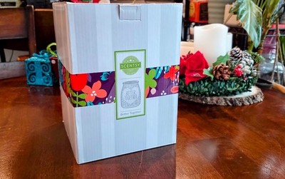 New Scentsy Retired Better Together Warmer Heart Pattern Aromatherapy Health