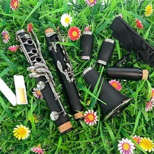 Nickel-plated Clarinet 17-Key B Flat Beginner Friendly with Durable Case