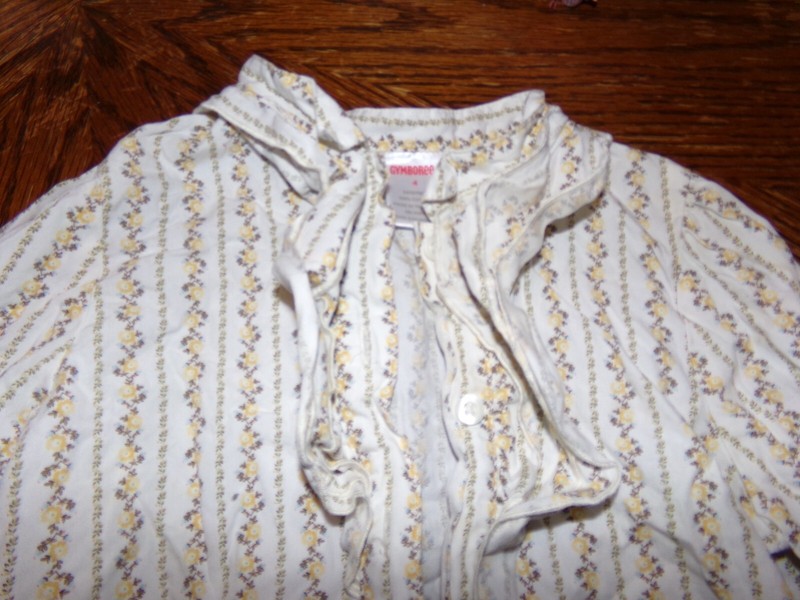 +* GIRLS GYMBOREE SHIRT 4T H 704