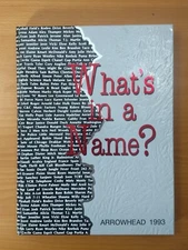 Naperville Central High School Yearbook, Arrowhead, 1993, Illinois, IL