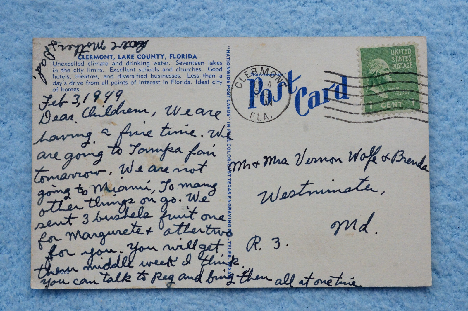 Clermont Lake County, Florida Falak Tayyeb Platinum Government