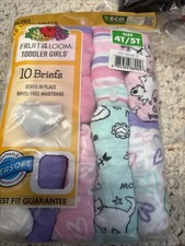 Fruit of the Loom Girls Size 4T / 5T Underwear Briefs NEW 10 Pack