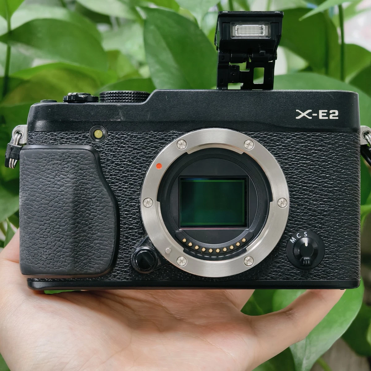 Fujifilm X-E2 Digital Cameras for Sale - Shop New & Used Digital