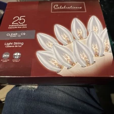 Celebrations 9599903 25Ct Clear Light String,