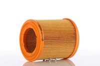 PZL Filters WA20151 Luftfilter FüR