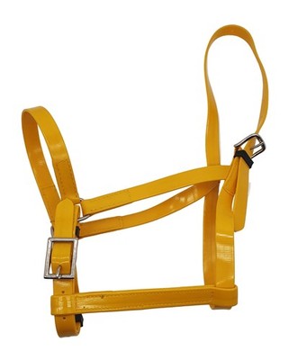 PVC Pferdehalfter Kopfband verstellbar robust Nasenriemen Pony Cob Full gelb