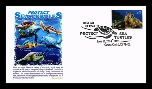 US COVER PROTECT SEA TURTLES FIRST DAY ISSUE PANDA CACHET