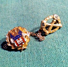 Rare Daughters Of America DofA Gold-Filled La...