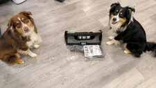 NEW: Flex 24V Reciprocating Saw & Bag | TOOL ONLY | FX2271-1C |