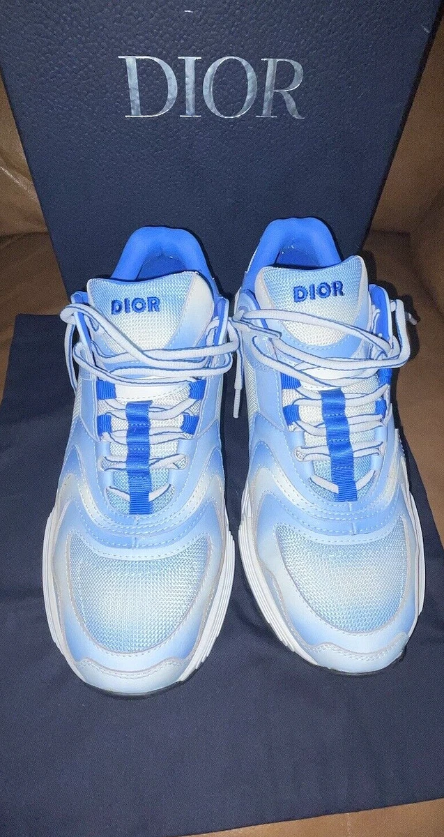 Dior b22 mens best sale sneakers