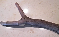 Slingshot Project Made in USA from Mesquite Tree Wood