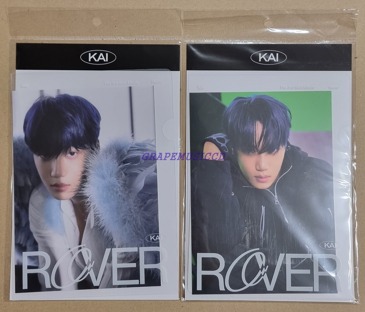 SMTOWN KAI EXO R カード KAI EXO Rover SMTOWN OFFICIAL MD GOODS POSTCARD + HOLOGRAM