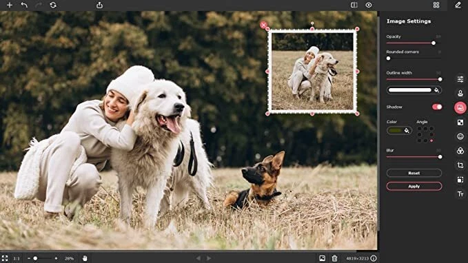 Movavi Photo Editor 2025 Edit photos - Image 3 of 3
