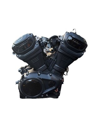2025 HARLEY DAVIDSON NIGHTSTER BLACK RH975 S ENGINE MOTOR GUARANTEED RUNS NOTES*