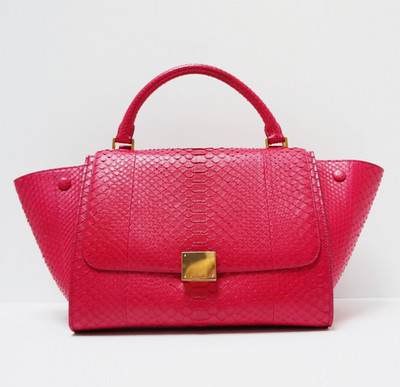 CELINE TRAPEZE PYTHON LEATHER HADBAG AUTHENTIC / EXCELLENT CONDITION