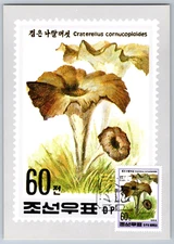 1995 Korea Mushroom Set of 6 Maxi Cards
