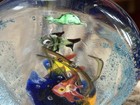 Vintage Vinci Heavy Hand-Blown Art Glass Half Moon Ppaperweight Fish/Turtle — photo 5