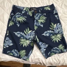 American Eagle Outfitters Men's Chino Shorts Floral Blue Green Cotton Pockets