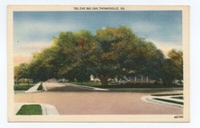 The Big Oak Tree Thomasville Georgia Postcard