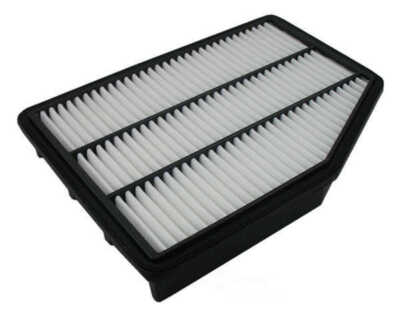 Air Filter Pentius PAB10721