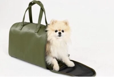argo dog carrier