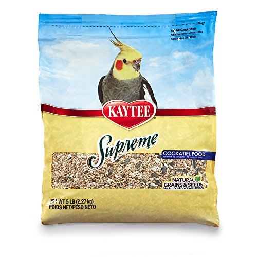 fish tropical near me