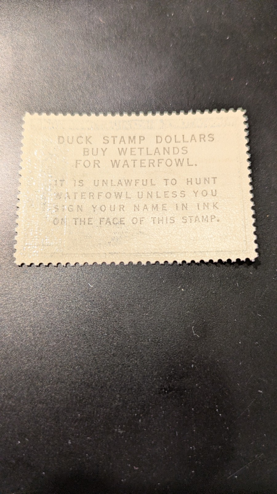 U.S. Federal Duck Stamp #RW34 Very Fine Mint Never Hinged