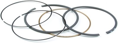 New Briggs & Stratton OEM 794126 Ring Set