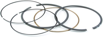 #ad New Briggs amp; Stratton OEM 794126 Ring Set $57.78