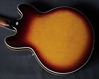 Archtop Tribute AT135STP | eBay