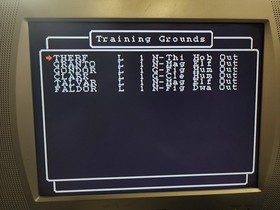 Wizardry: Proving Grounds of the Mad Overlord (1990, NES) Tested and Working