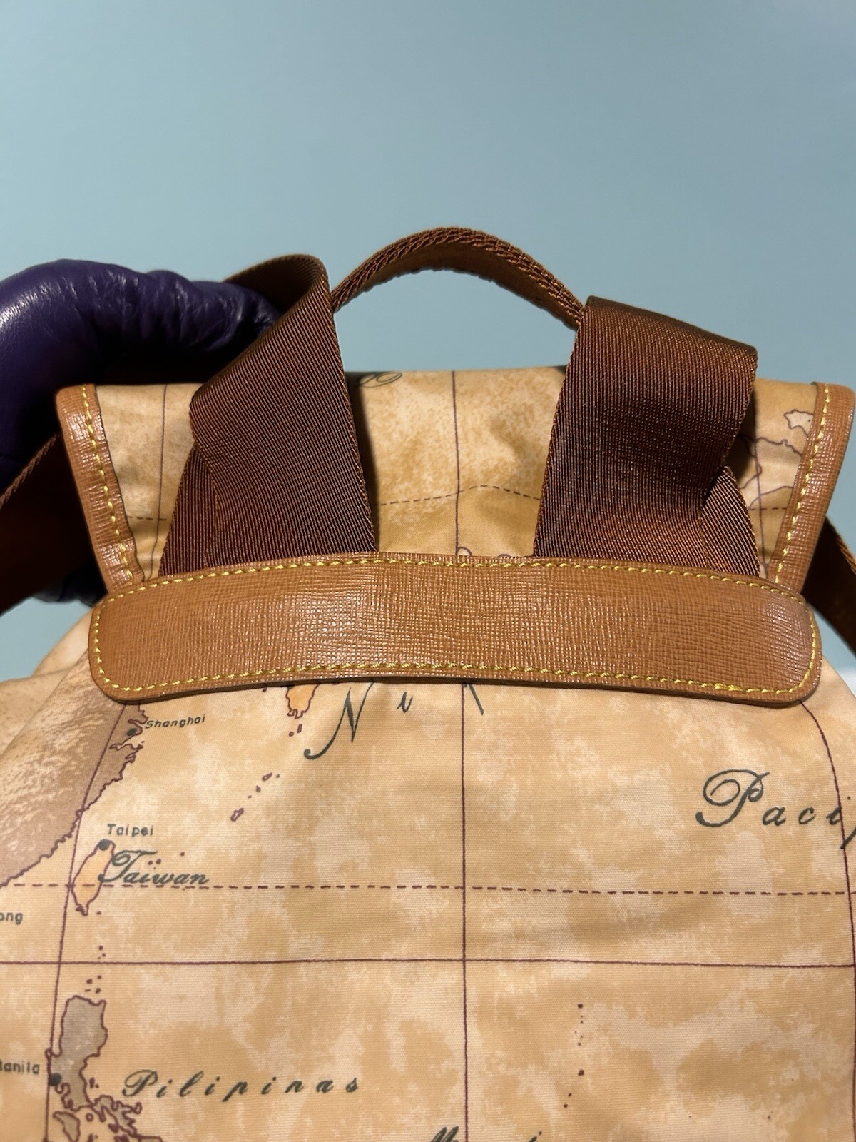 Authentic Alviero Backpack Excellent Condition - image 10