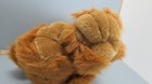 Bild 6 von 6