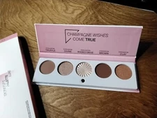 Ofra Signature Palette Luxe Champaign Wishes Come True Full Size 0.26 Oz. New