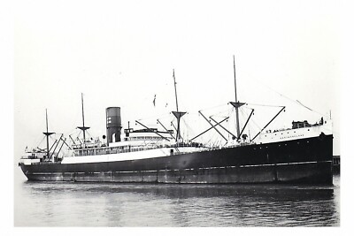 rs0761 - Federal Steam Nav Cargo Ship - Westmorland , gebaut 1917 - Foto 6x4