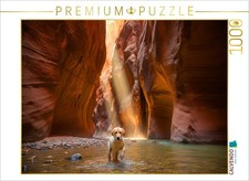 CALVENDO Puzzle Nasse Pfoten im Antelope Canyon  1000 Teile Lege-Gr  e 64x48cm