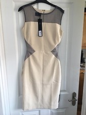 RRP £139 New Designer Hybrid Fashion Metallic Lace Bodycon Dress UK8-10/EU34-36