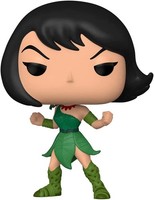 Funko Pop! Animation: Samurai Jack - Ashi #1053 Vinyl Figur