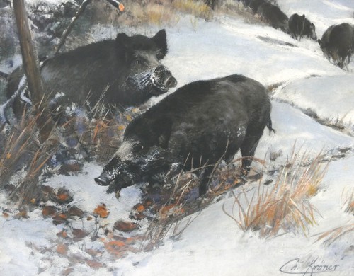 Christian Kröner Gouache - Carta "Rotta di cinghiale" 1893 incorniciata 53,5 x 37,5 cm - Foto 10 di 15
