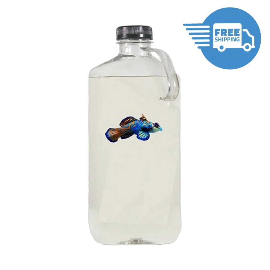 COPEPODS FOR SALE Live Organic Copepods 5 Species (32-Ounce Bottle) - Free Shipping - 100% Organic