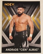 ANDRADE 