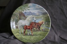 Davenport Pottery Welsh Mountain Ponies Collectible Plate By Derek Braithwaite