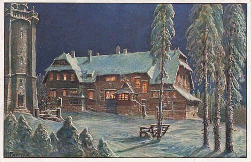 Carte Postale Ancienne – Holzhau, Monts Métallifères 1938 – La Maison De La Tourbe