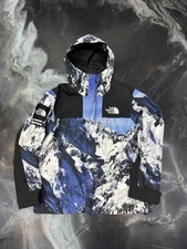 Supreme The North Face Mountain Parka Blue/White, SIZE L