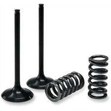 Pro X Stainless Steel Intake Valve And Spring Kit | 28.SIS2444-2